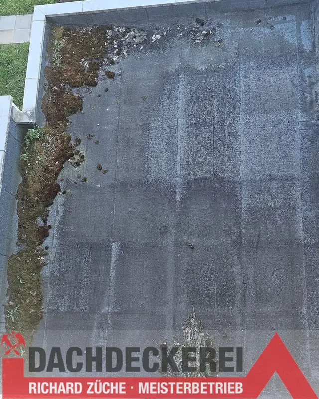 Altes Flachdach mit Moos und Bewuchs vor der Sanierung